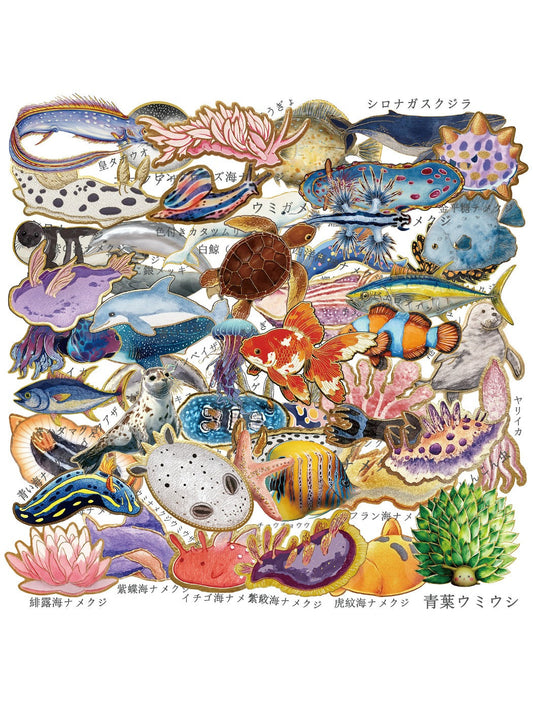 Lunira cute lifelike sea creatures sticker pack featuring colorful fish and coral designs