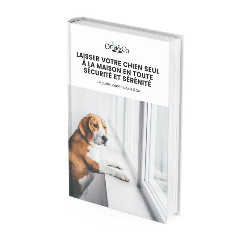 Un livre en ligne qui est gratuit et qui explique comment laisser son chien seul à la maison.