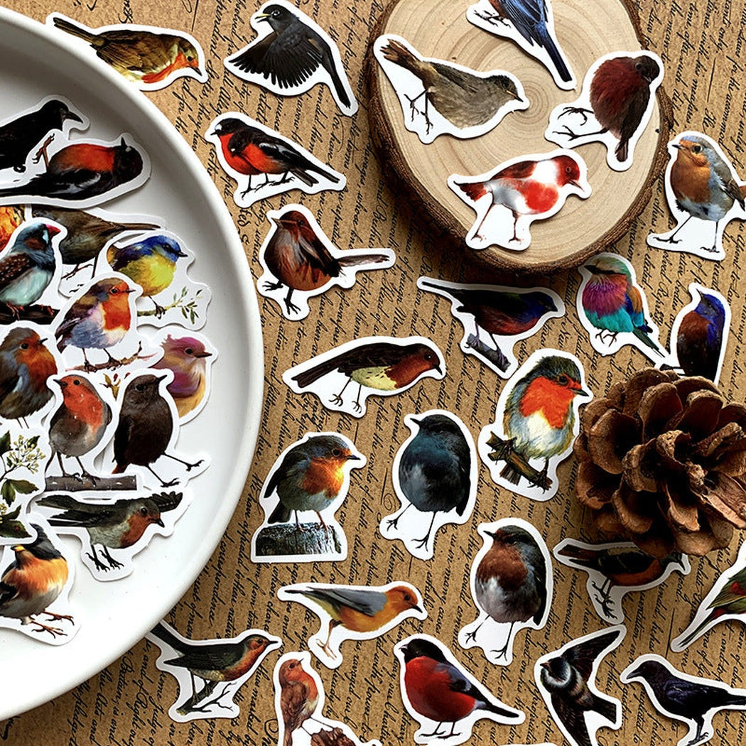 Lunira - Robin Bird 40-Piece Sticker Pack