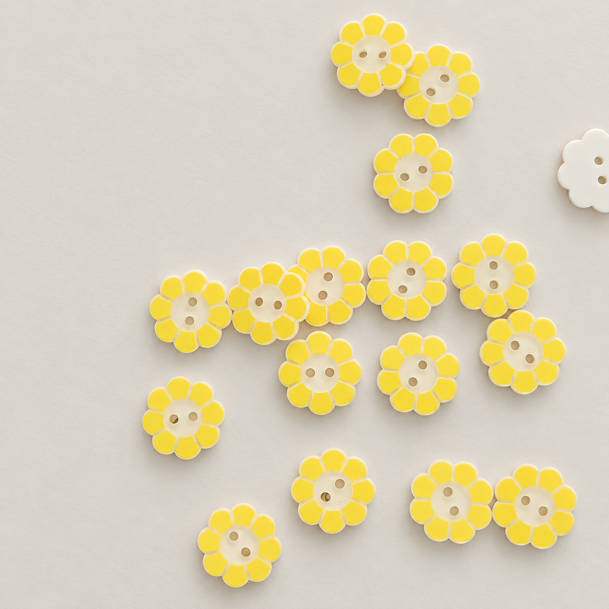 Bunli - DIY 10 Pack Fruit and Flower Two Hole Button