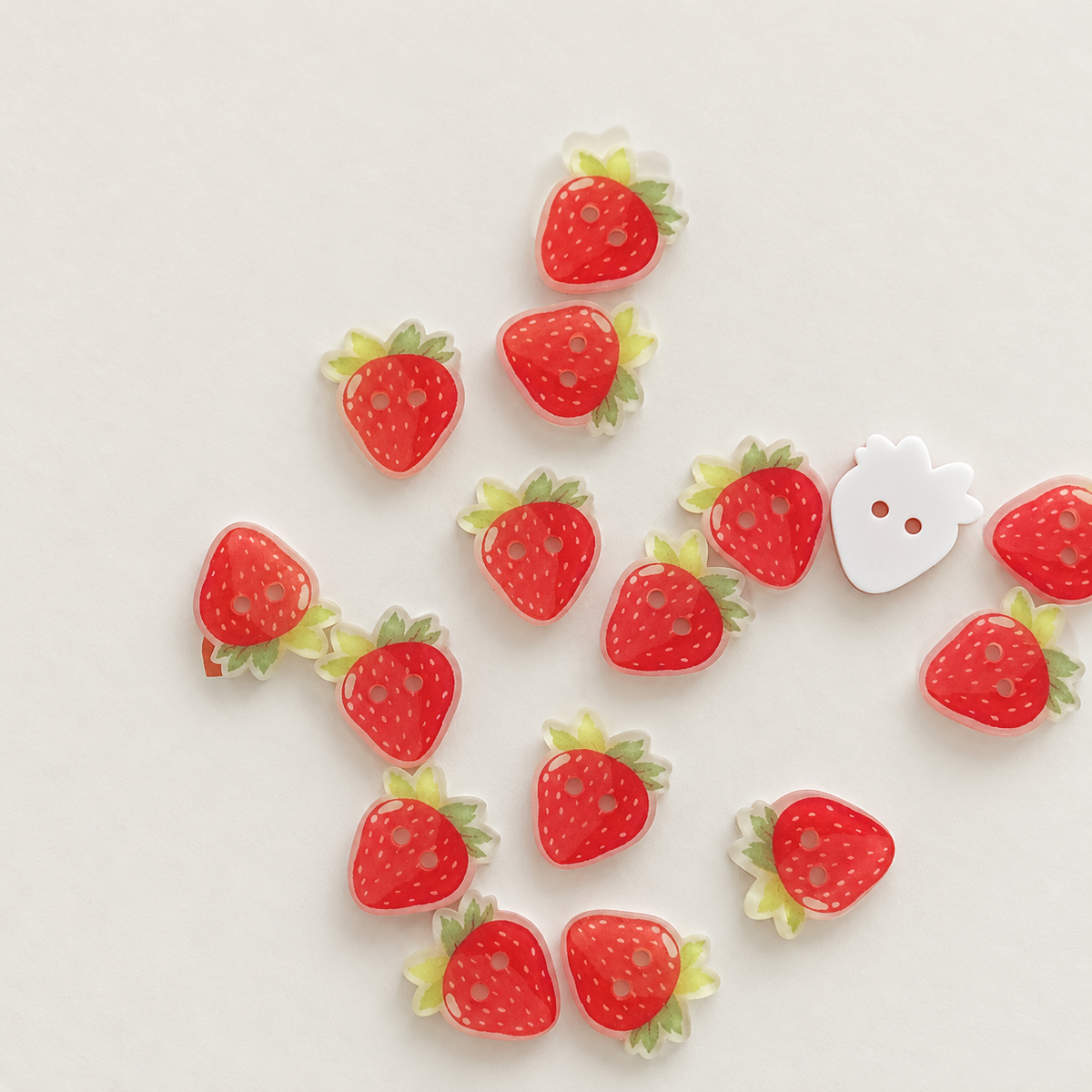 Bunli - DIY 10 Pack Fruit and Flower Two Hole Button