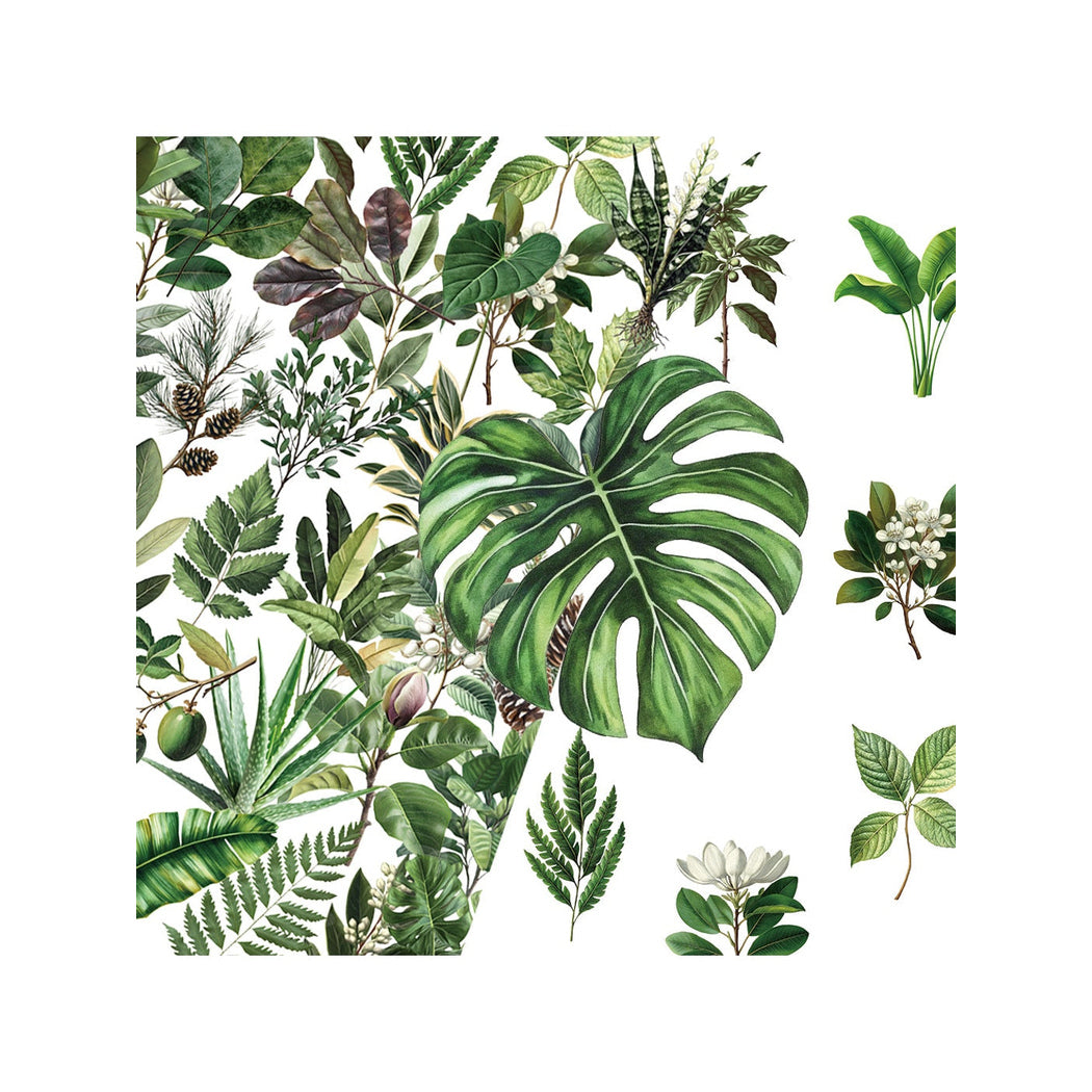 Lunira - 50 Piece Plant Leaf Journal Stickers pack