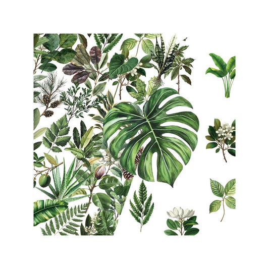 Lunira - 50 Piece Plant Leaf Journal Stickers pack