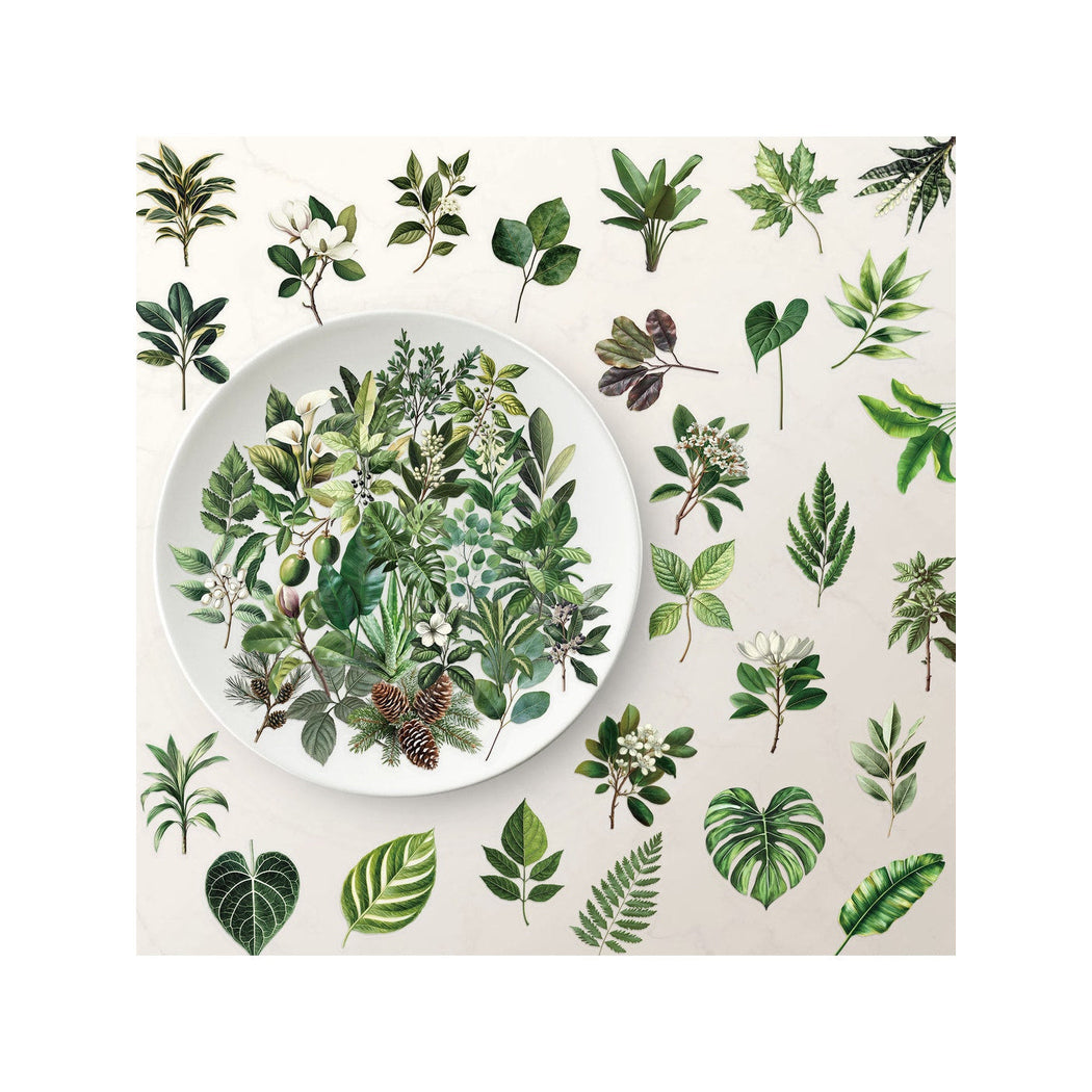 Lunira - 50 Piece Plant Leaf Journal Stickers pack