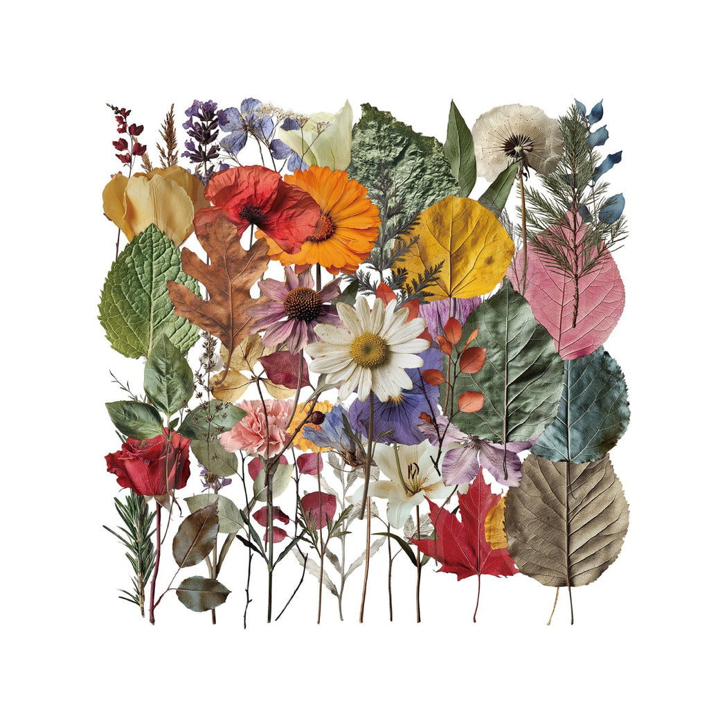 Lunira - Retro Plant and Flower Decoration Stickers Pack