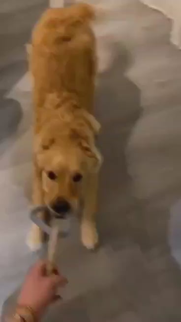 Utilisation du triangle en corde et caoutchouc Oria & Co