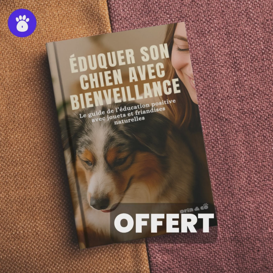 EBook : Eduquez son chien avec bienveillance